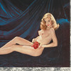 Playboy Centrefolds thumbnail