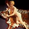 Playboy Centrefolds thumbnail