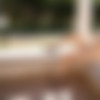 [PH] 2023-06/10 Donna – The Spring Smells
