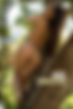 2021phdee/2021-08/[photodromm.com] - 14.08.2021 - Rachel - Shaking The Tree (x46, 3000px)/_cover.jpg