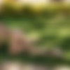 2021phdee/2021-08/[photodromm.com] - 14.08.2021 - Rachel - Shaking The Tree (x46, 3000px)