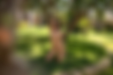 2021phdee/2021-08/[photodromm.com] - 14.08.2021 - Rachel - Shaking The Tree (x46, 3000px)/Shaking The Tree (44).jpg