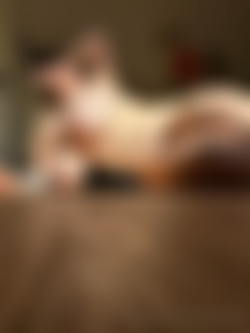 [OnlyFans.com] Kira Liv - SiteRip/Images/602e95a9-e823-4997-be23-f2ad4bee3eae.jpg