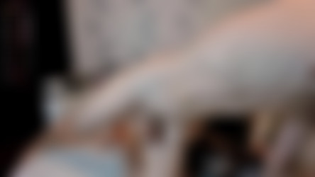 David-Katya [BC]/David-Katya Couple Bongacams_2.mp4