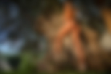 [photodromm.com] 2015-01/[photodromm.com] - 2015.01.08 - Dana - The Tree Of Beauty (x46) 1333x2000/08l.jpg