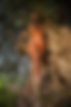 [photodromm.com] 2015-01/[photodromm.com] - 2015.01.08 - Dana - The Tree Of Beauty (x46) 1333x2000/16l.jpg
