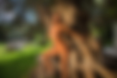 [photodromm.com] 2015-01/[photodromm.com] - 2015.01.08 - Dana - The Tree Of Beauty (x46) 1333x2000/37l.jpg