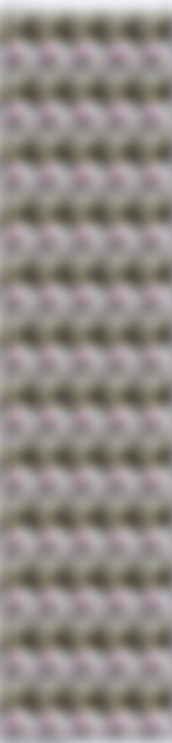 [OnlyFans] Cheyennecc - Siterip/Video Screens/Cheyennecc - 012.mp4.jpg