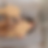 [PHD] 2024-12/10 Paula - Keep It Real