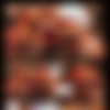 WBWorld & Shotastic/Shotastic - Christmas Present 2