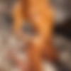 [photodromm.com] 2016-11/[photodromm.com] - 2016.11.30 - Supersize Selection Of Month (x14) 2666x4000