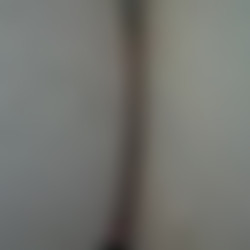 4282-beshine the wig.mp4