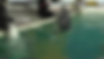 WTFPass.com Network SiteRip - Part #4/Private Sex Tapes/2009-Real couple porn after dolphinarium.mp4